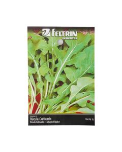Semente De Rúcula Cultivada 100g Feltrin