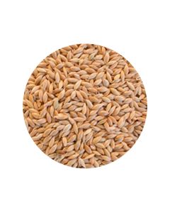 Alpiste 10kg - Nutriave