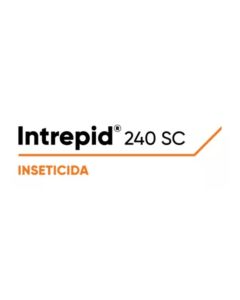 Intrepid 240 Sc 5 Litros