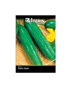 Pepino Aodai Golden - Feltrin