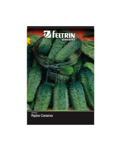 Sementes De Pepino Conserva Wisconsin Golden - Feltrin