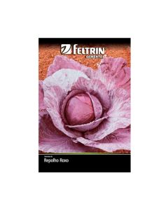 Sementes De Repolho Roxo Golden - Feltrin