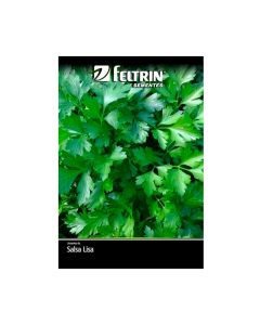 Sementes De Salsa Lisa - Feltrin