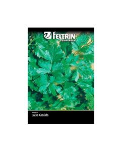 Sementes De Salsa Graúda Portuguesa Golden - Feltrin