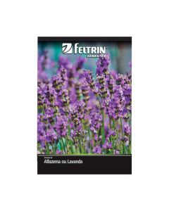 Sementes De Alfazema Ou Lavanda Golden - Feltrin