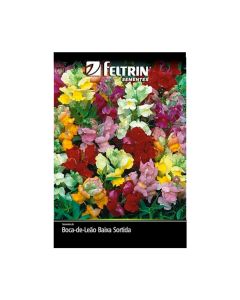 Sementes De Boca De Leão Baixa Sortida Golden - Feltrin