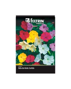 Sementes De Bela Noite Sortida Golden - Feltrin