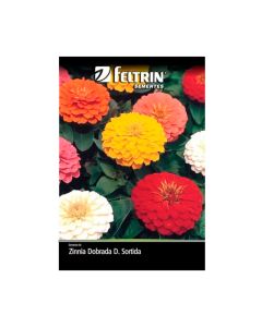 Zinnia Dobrada Dahliaflora Sortida Golden - Feltrin