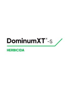 Dominum Xt-S 01l