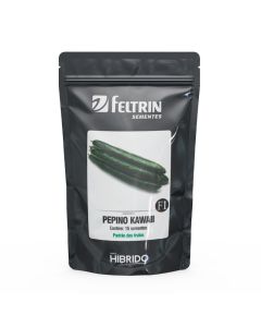 Pepino Híbrido Kawaii Japonês 15 Sementes - Feltrin